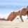 Nikki Sixxs girlfriend Courtney Bingham sunbathe's topless | Mail Online
